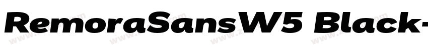 RemoraSansW5 Black字体转换